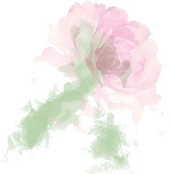 Mm Iii Thorn - Common Peony (600x600), Png Download