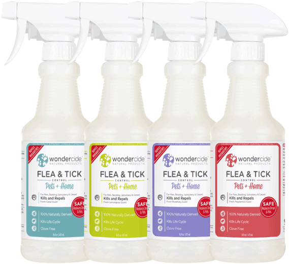 Flea & Tick - Wondercide Natural Flea & Tick Control For Pets (600x600), Png Download