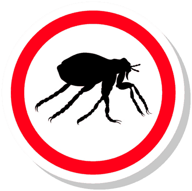 From Reviews Of Popular Flea Killing Products To Step - Weevil (400x400), Png Download