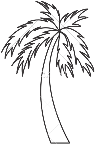 Black And White Palm Tree Travel Beach Icon - Palm Tree Icon Transparent In White (487x550), Png Download