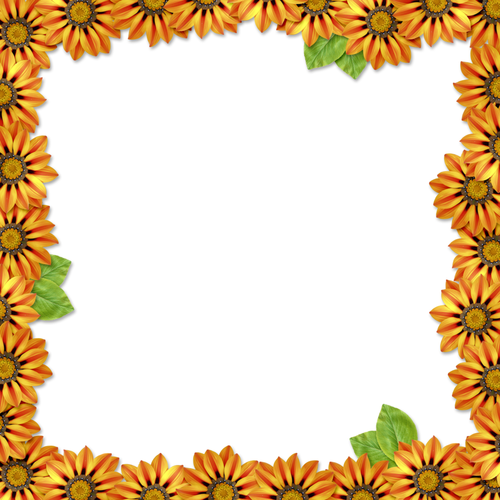 Orange Floral Border Png High Quality Image - Gicléedruk: Frida Muerta By Abril Andrade, 61x46cm. (1024x1024), Png Download