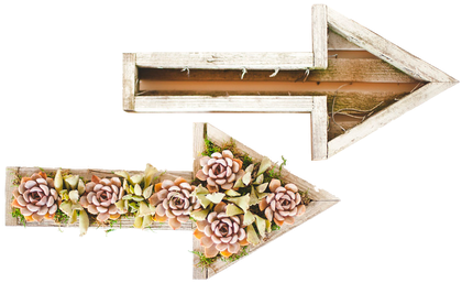 Wood (498x332), Png Download