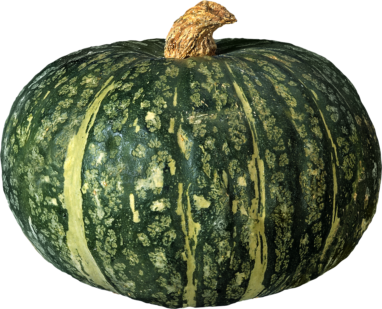 Squash Png (1338x1082), Png Download