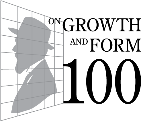 Our Celebrations For The Centenary Of D'arcy Thompson's - Northern Lights (514x441), Png Download