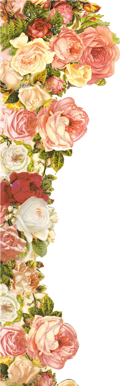 Elementos Florais -png - Clip Art Png Deviantart (476x1500), Png Download