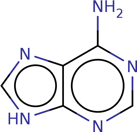 ), Bdbm181146 - Methyl Adenin (500x500), Png Download