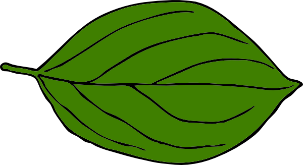 Dark Green Leaf Clipart - Leaf Drawing Clip Art (600x327), Png Download