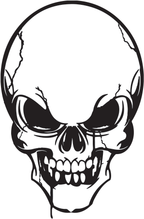 Picture Royalty Free Stock Patriots Drawing Sugar Skull - Head Skull Png Vector (600x600), Png Download
