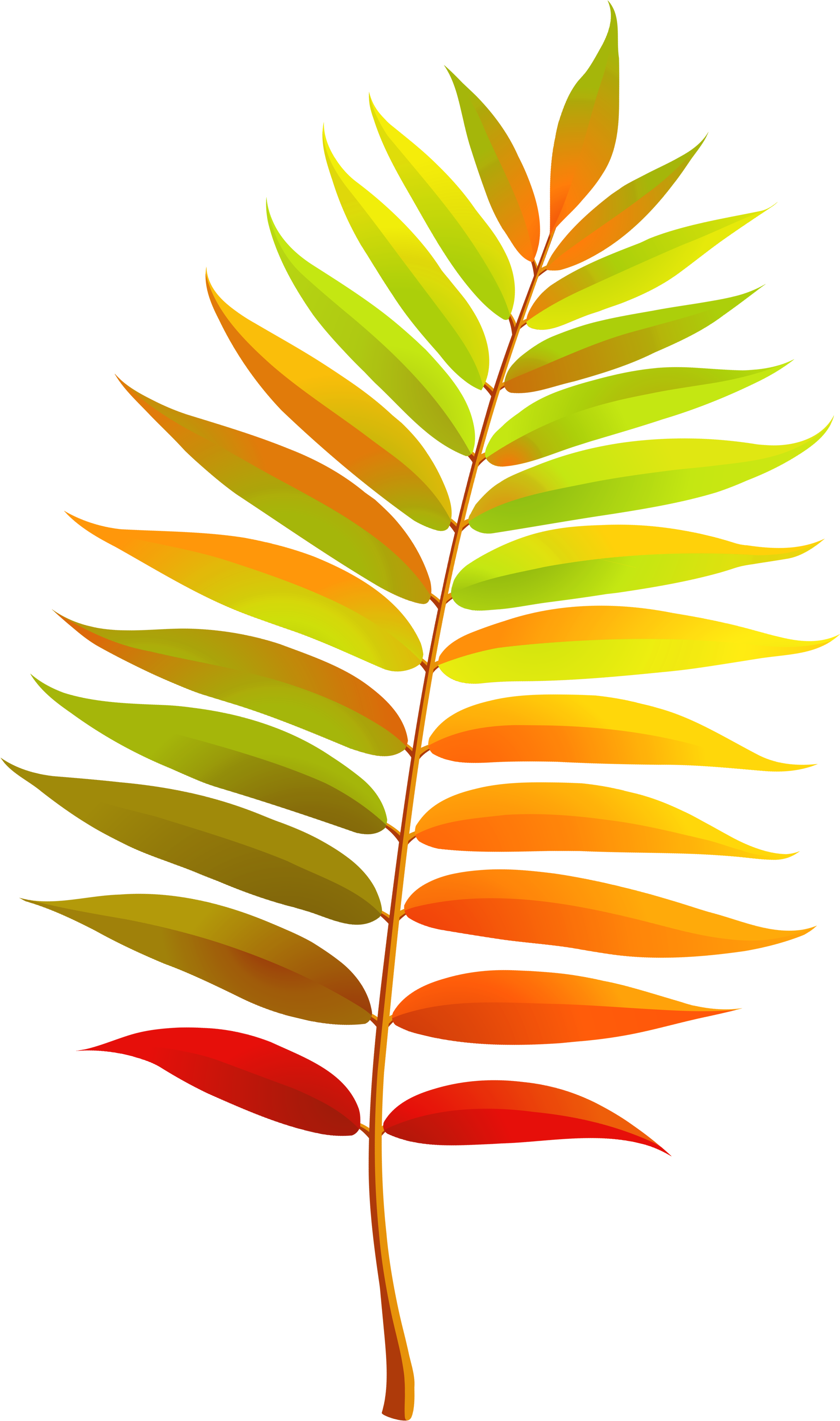 Colorful Transparent Fall Leaf Clipart - Transparent Clipart Fall Leaves (2240x3520), Png Download