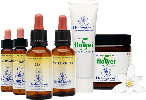 Healing Herbs Bach Flowers (600x412), Png Download