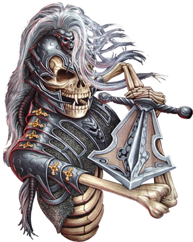 Skeleton-131 - Skeleton Png (382x480), Png Download