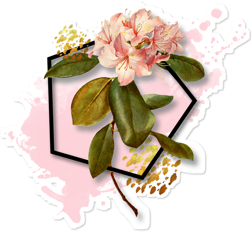 French Botanical Pink Flower Queen Duvet (962x962), Png Download