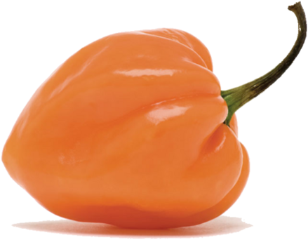 Habanero Pepper - Habanero Chili (620x620), Png Download