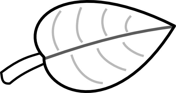 Leaf Gorda Clip Art At Clipart - Jack And The Beanstalk Leaf (600x318), Png Download