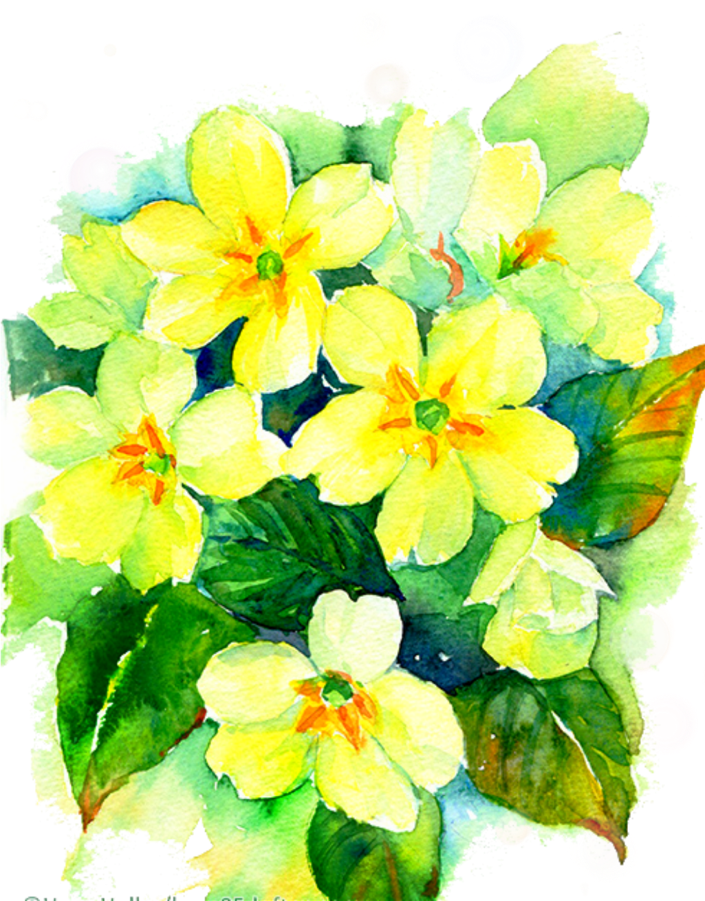 Report Abuse - Watercolor Painting (1024x1496), Png Download