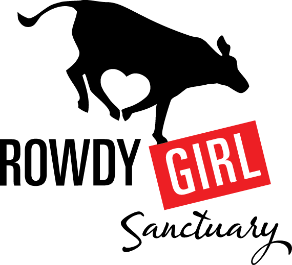 Photography (570x519), Png Download