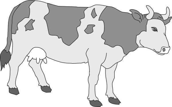 Gray Colored Cow Svg Clip Arts 600 X 373 Px (600x373), Png Download
