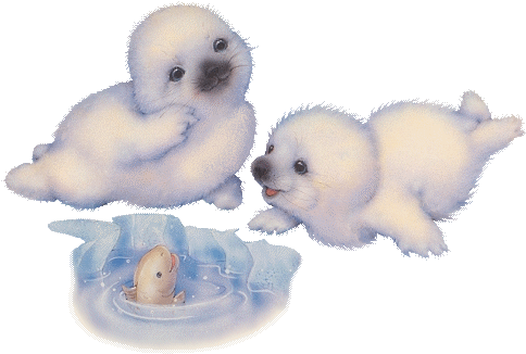 Gif Phoque (489x337), Png Download