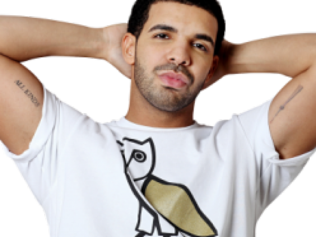 Drake Clipart Transparent - All Kinds Drake (640x480), Png Download
