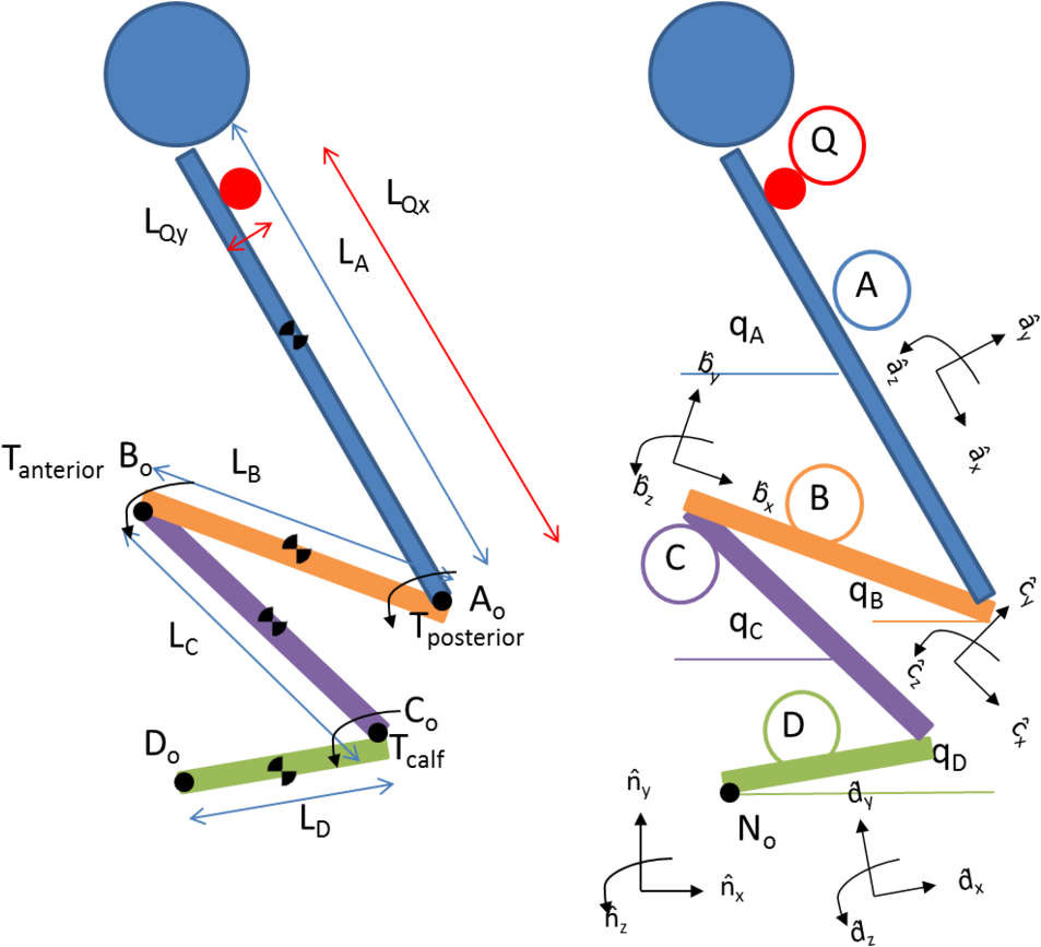 Model (1000x889), Png Download