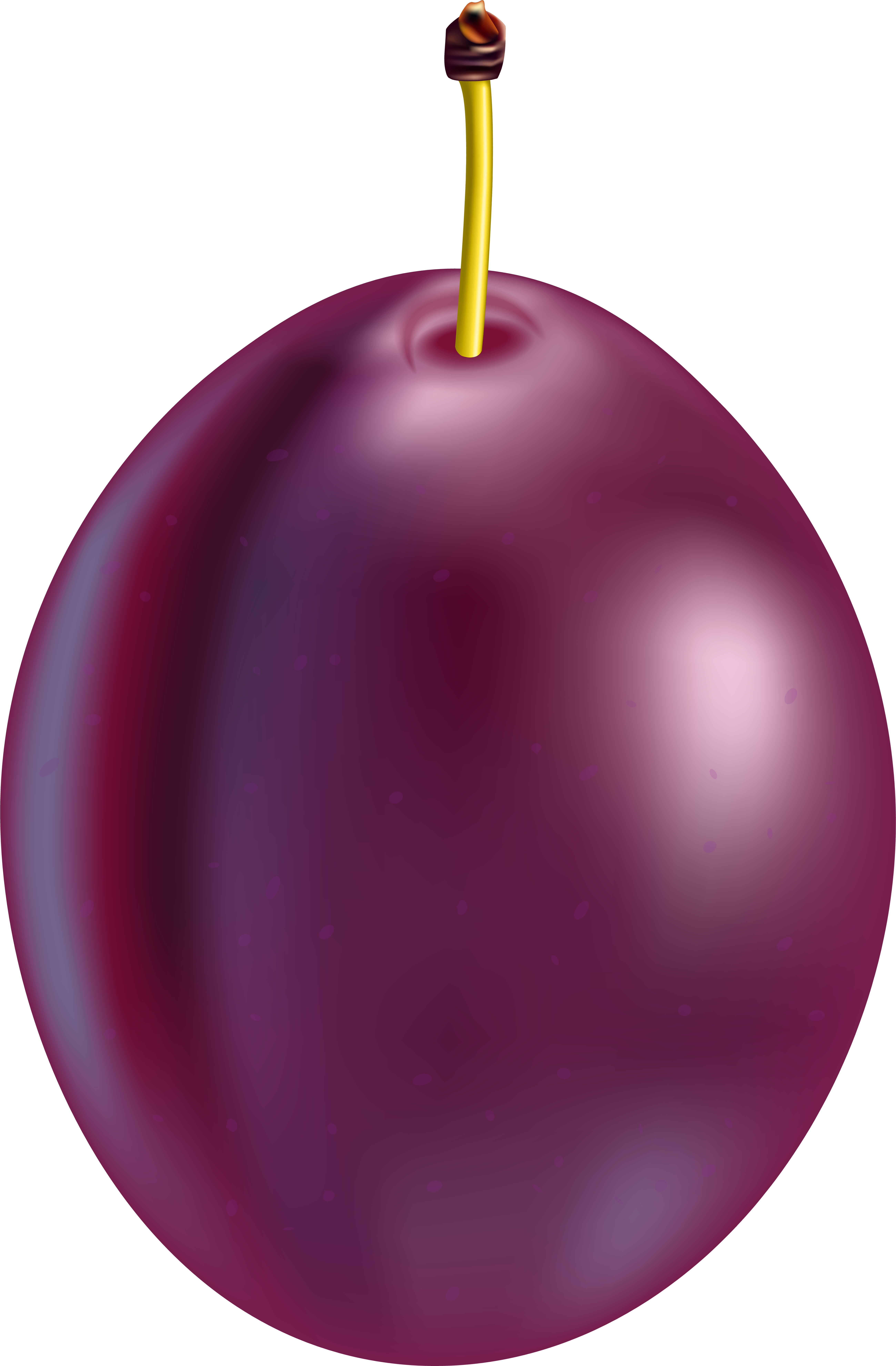Plum Fruit Png Clip Art - Sphere (5273x8000), Png Download