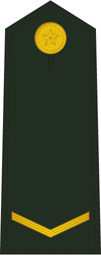 Plagf 0701 Pvt - Leather (199x501), Png Download