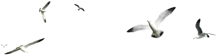 5 (760x499), Png Download