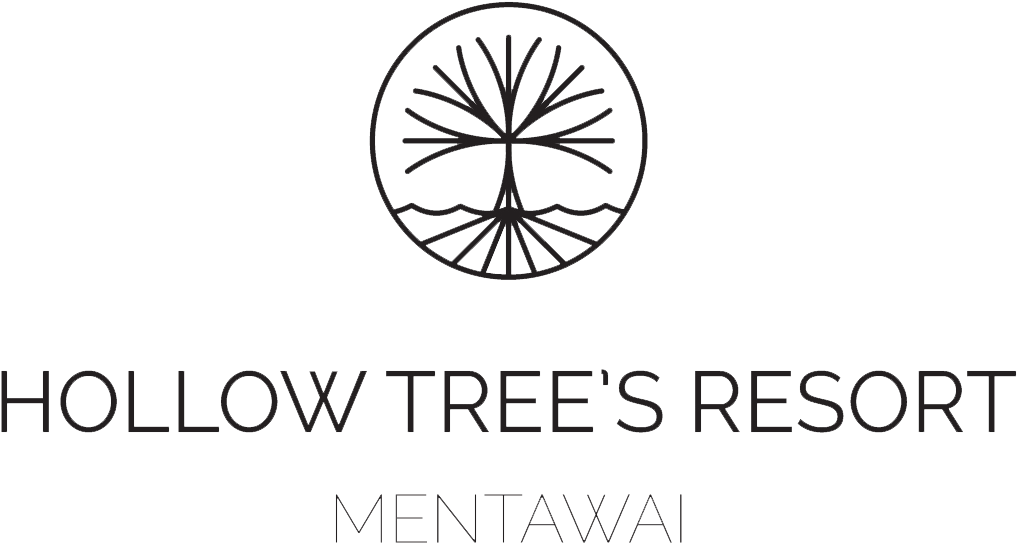 Ht's Mentawai Surf Resort - Hollow Tree's Resort Logo (1197x670), Png Download