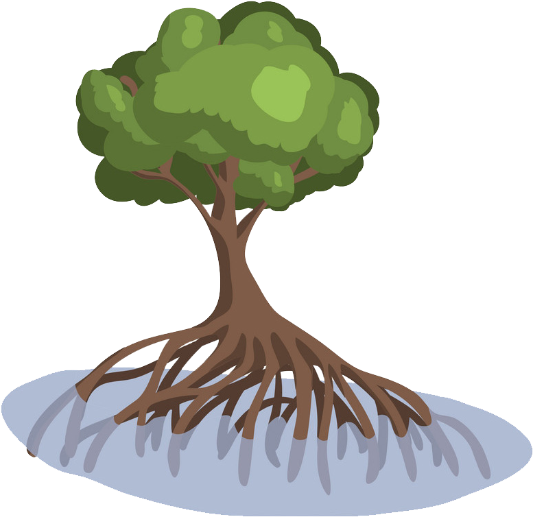 Hutan Mangrove Oleh Masyarakat Indonesia Dan Negara - Illustration (1000x786), Png Download