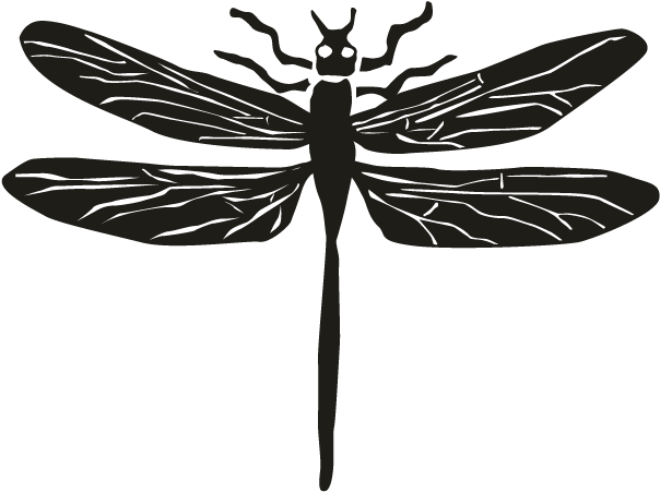Dragonfly - Dragonflies And Damseflies (696x696), Png Download