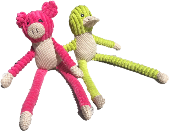 Paisley Paws Plush Squeaky Pig Dog Toy - Teddy Bear (739x554), Png Download