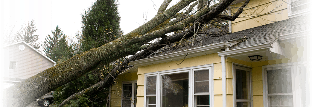Salt Lake City, Utah Wind Damage Cleanup - Happens When A Tree Falls (1170x359), Png Download