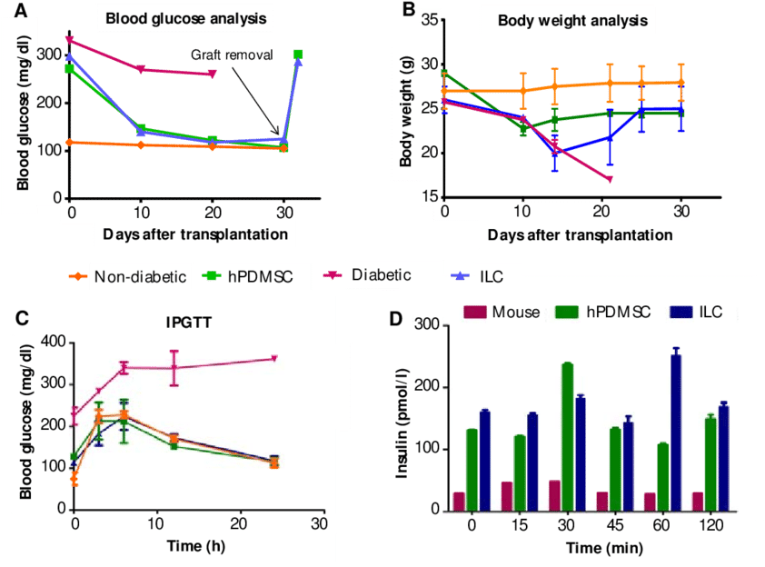 Fasting Blood Glucose Levels Indicate That Mice In - Diagram (850x633), Png Download