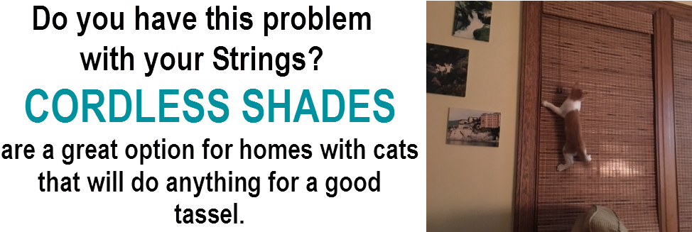 Interior Shutters - Paper (987x326), Png Download