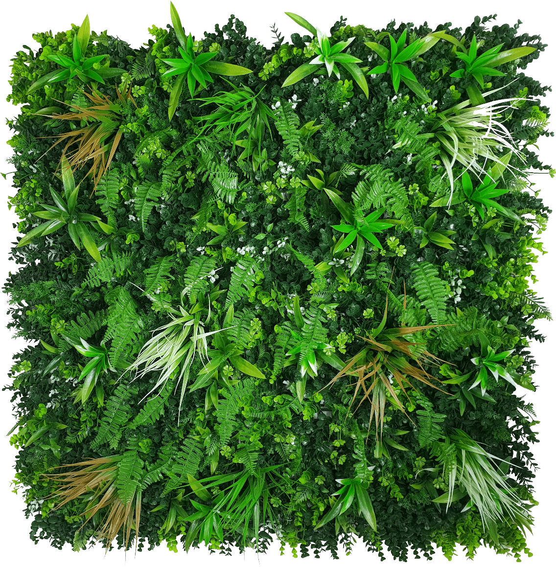 Wild Grass Png (1328x1200), Png Download