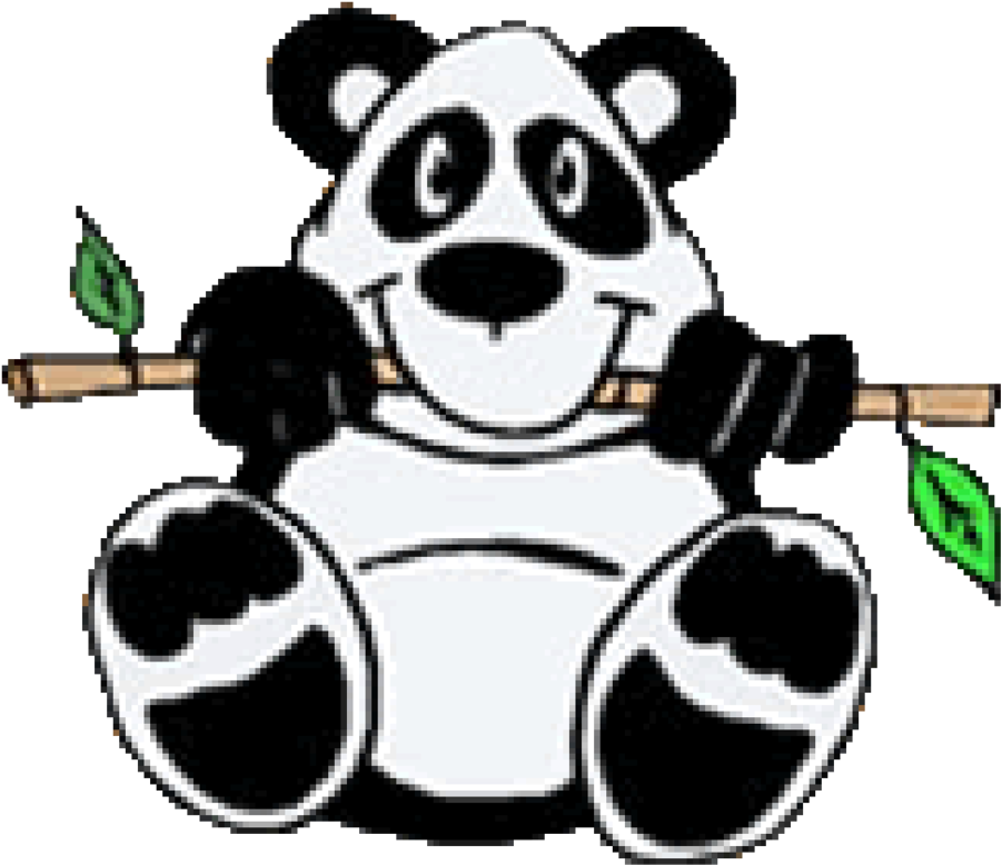 Panda - Panda Cartoon (1000x1000), Png Download