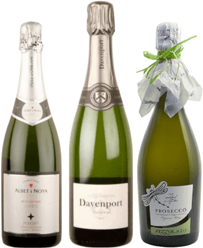 Organic Wine Tasting - Prosecco Doc Pizzolato (600x600), Png Download