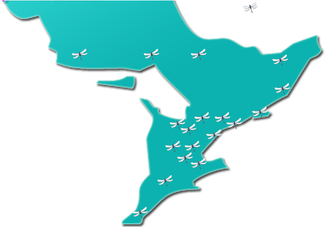 Cropped Testimonial Map2 Spiritual Readings By Kelly - Ontario Map Vector (700x450), Png Download