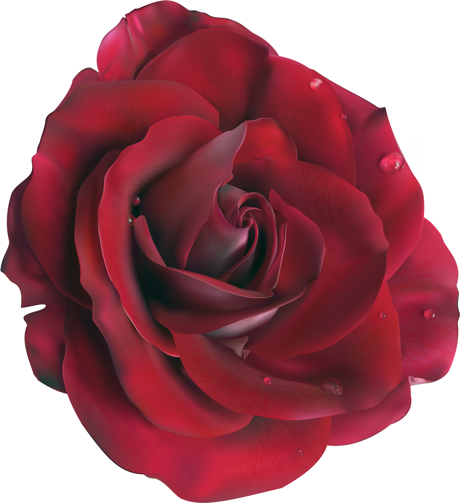 Red Large Rose Clipart Picture M=1374271200 - Rose Vector (1800x1965), Png Download