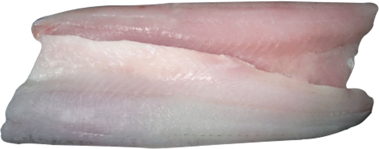 Turkey Ham (750x750), Png Download