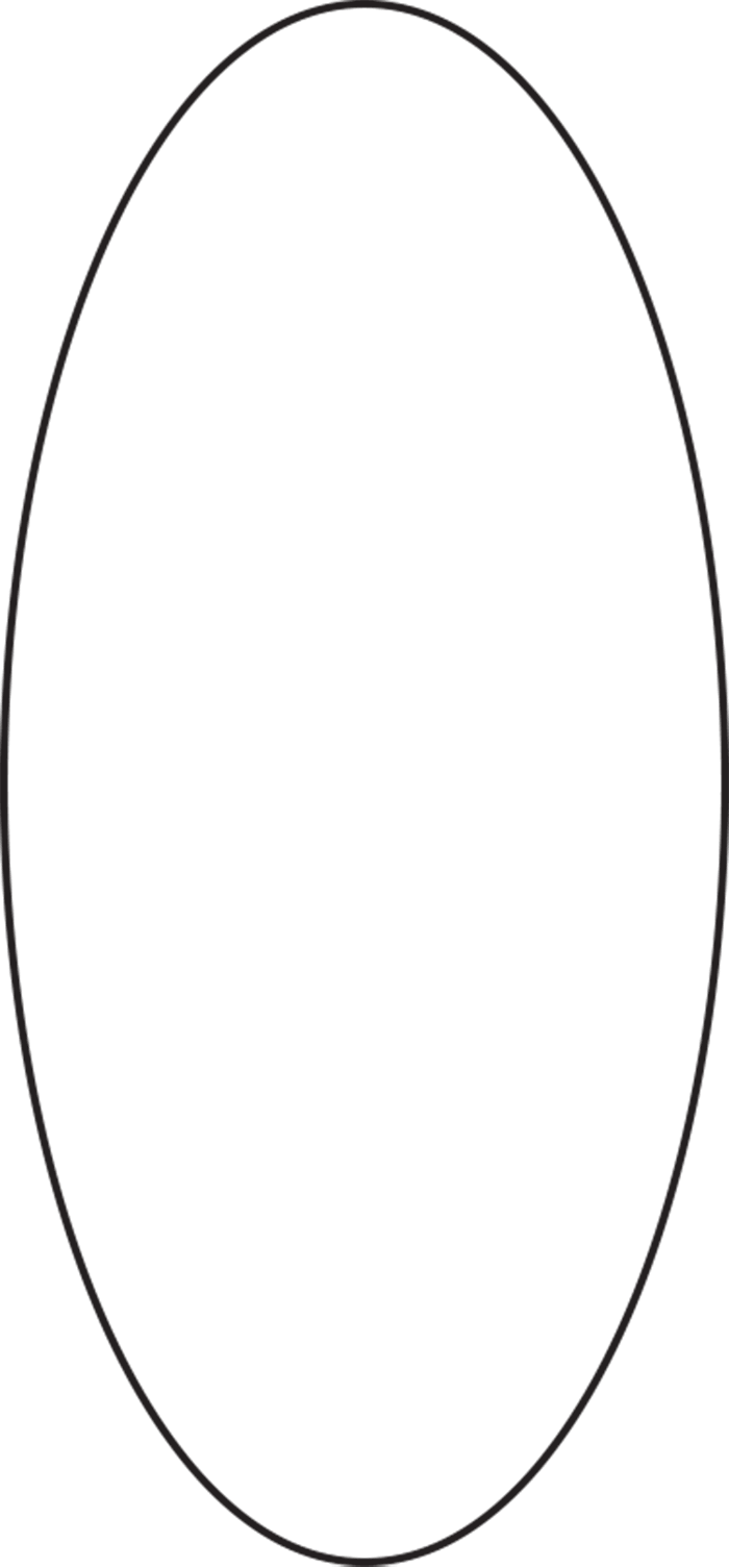 Ovalo - Ovalo Png (700x1505), Png Download