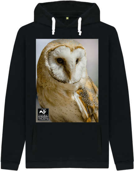 Barn Owl Hoody - Sweatshirt (640x674), Png Download
