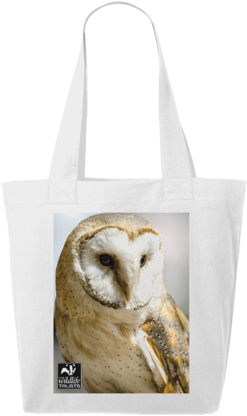 Barn Owl Tote Bag - Barn Owl (640x674), Png Download