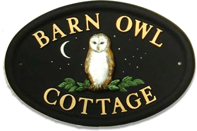 Owl Barn Small House Sign - Barn Owl (795x531), Png Download