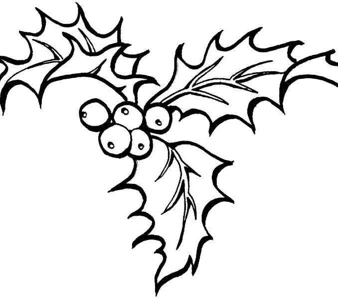 Christmas Coloring Pages Holly (678x598), Png Download