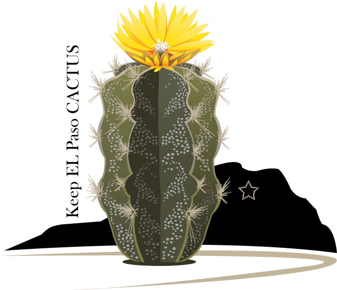 Bold, Playful Vector Design For Drennan Enterprises - Weberocereus (1200x1000), Png Download