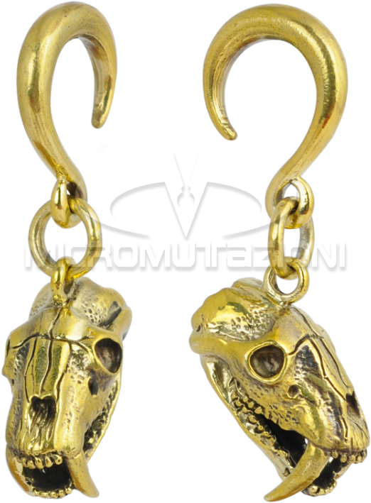 Brass Ear Weight Skull Pendant Ear - Earrings (750x750), Png Download