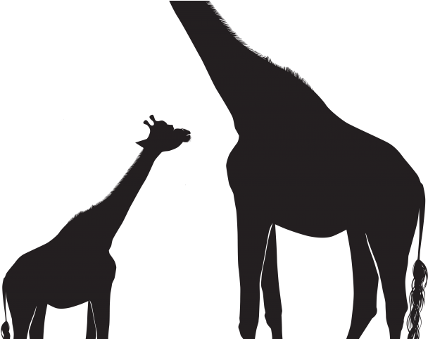 Download Silhouette Baby Giraffe Clipart