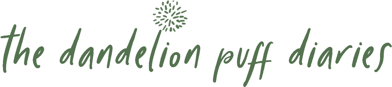 Calligraphy (1500x488), Png Download