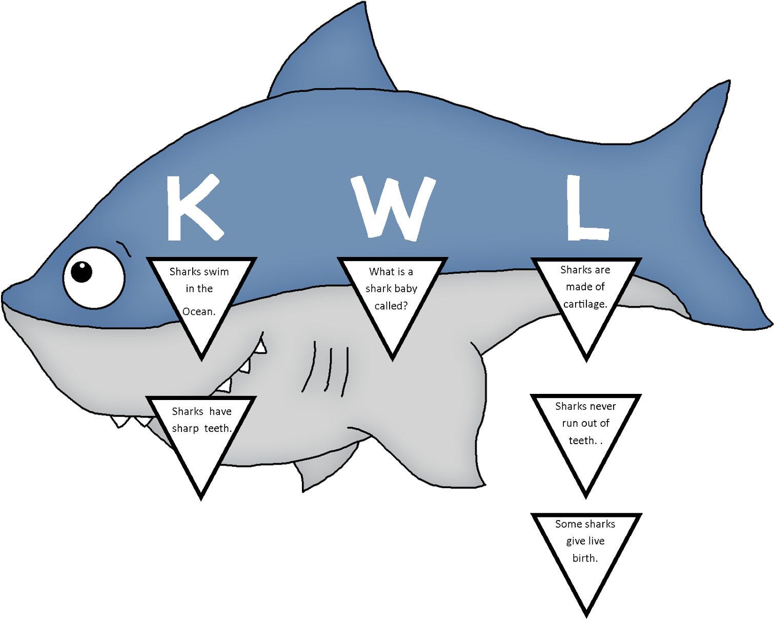 Sharks The Schroeder Page - Shark (1600x1242), Png Download